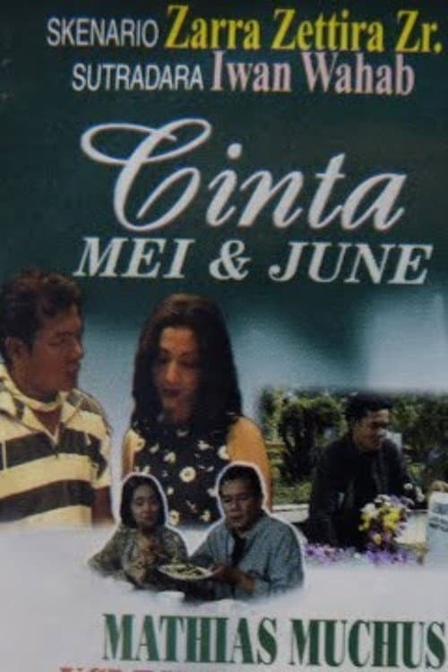 Cinta Mei & June (1995) poster