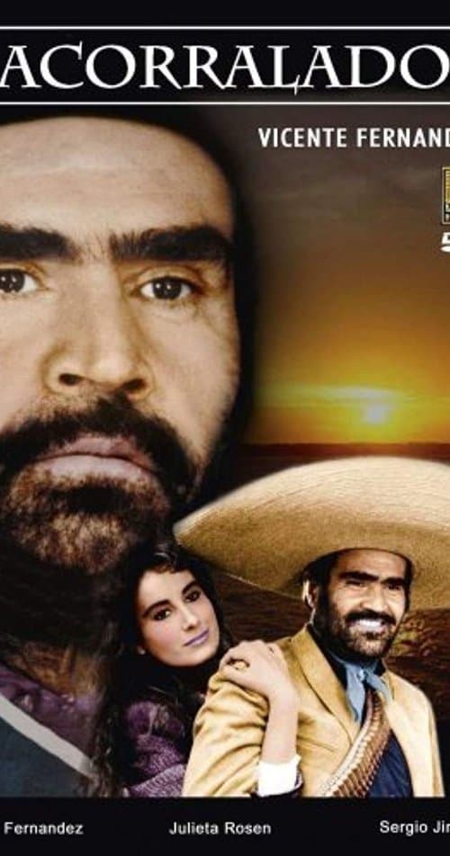 Acorralado (1989) poster