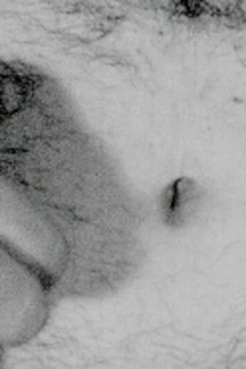 Openings (1970) poster