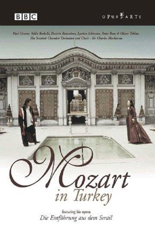 Mozart in Turkey (2000) poster