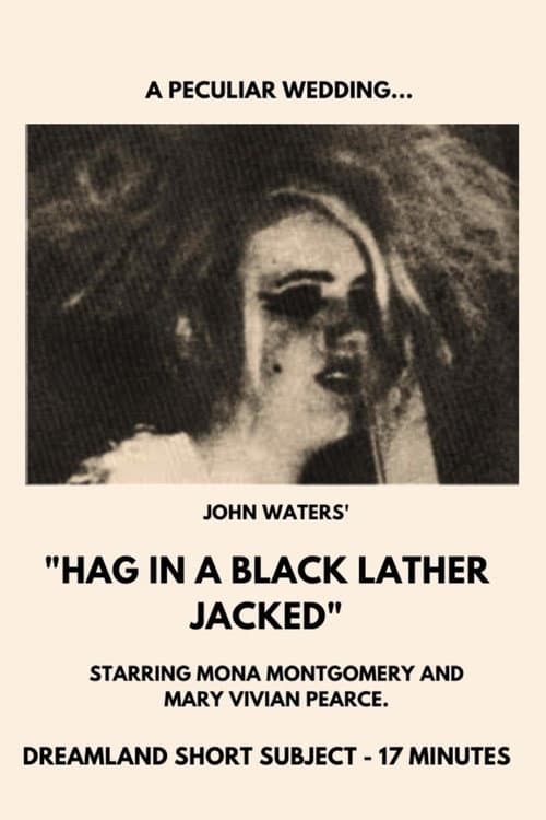Hag in a Black Leather Jacket (1964) poster
