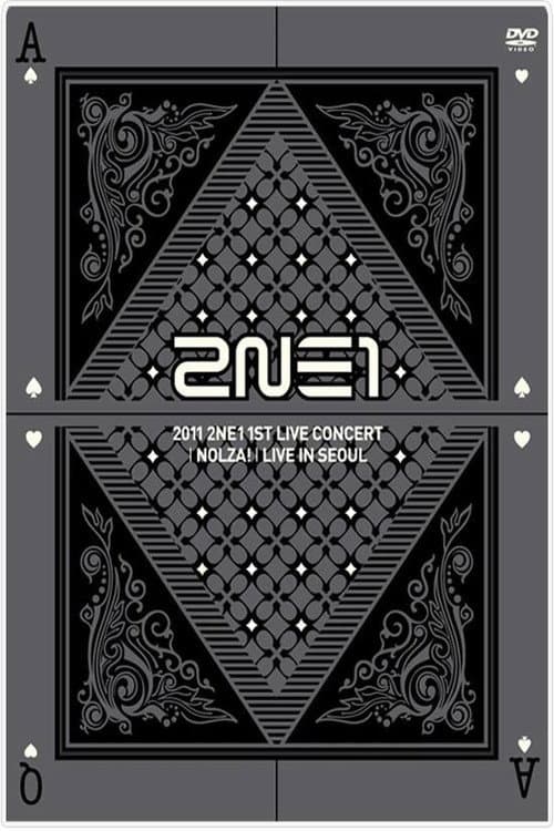 2NE1: 1st Live Concert NOLZA (2011) poster