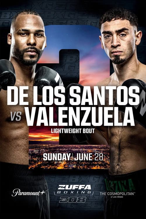 Zuffa Boxing 08 (2026) poster
