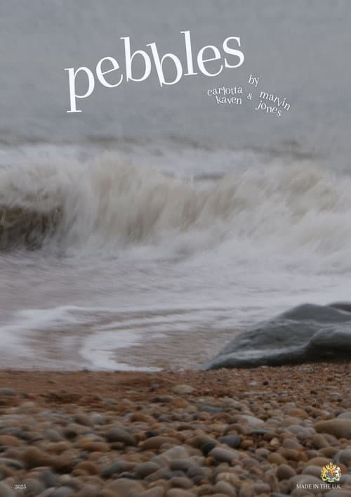 PEBBLES (2027) poster