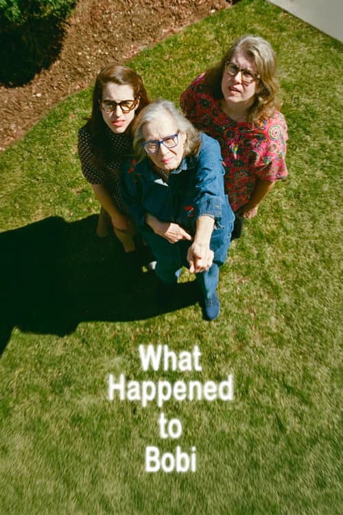 What Happened to Bobi (2025) poster
