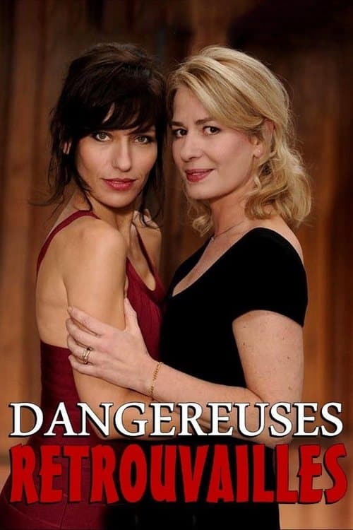 Dangereuses retrouvailles (2013) poster