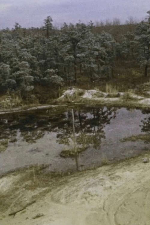 Pine Barrens (1975) poster