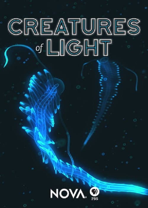Creatures of Light (2015) poster