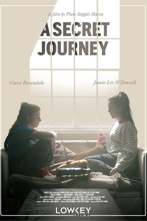 A Secret Journey (2019) poster