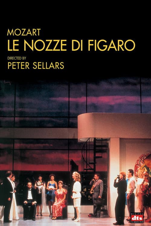 Le nozze di Figaro (1990) poster