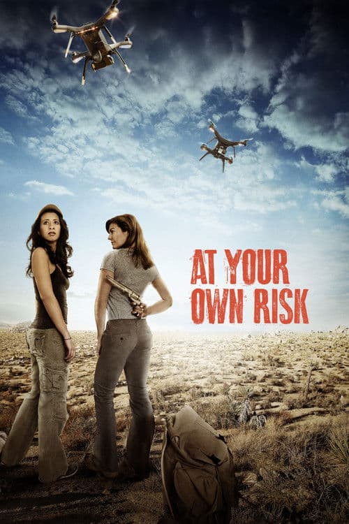 At Your Own Risk (2018) poster