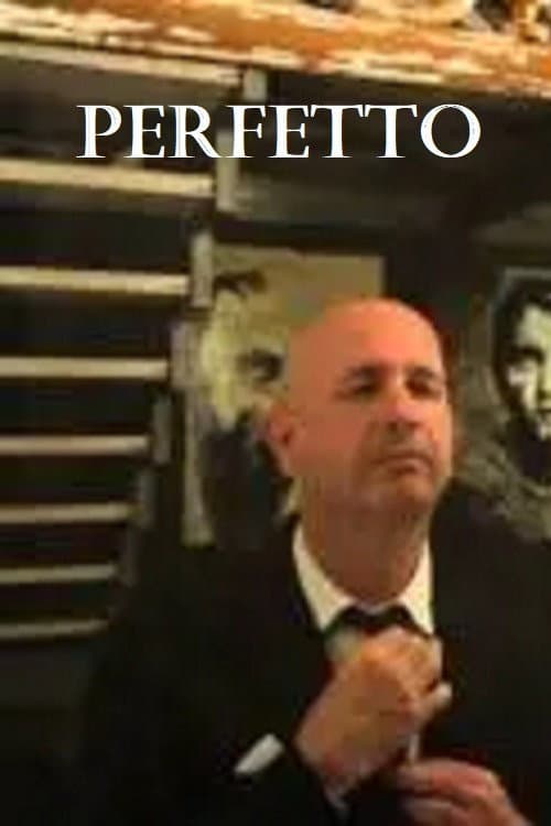 Perfetto (2013) poster