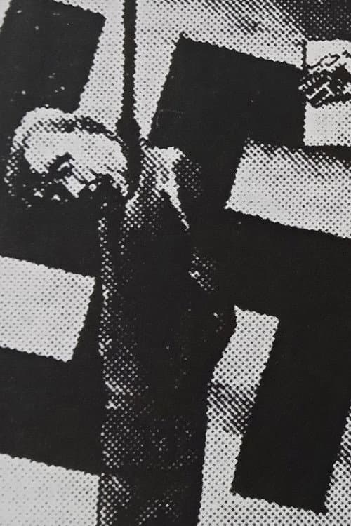Frits Van den Berghe (1977) poster