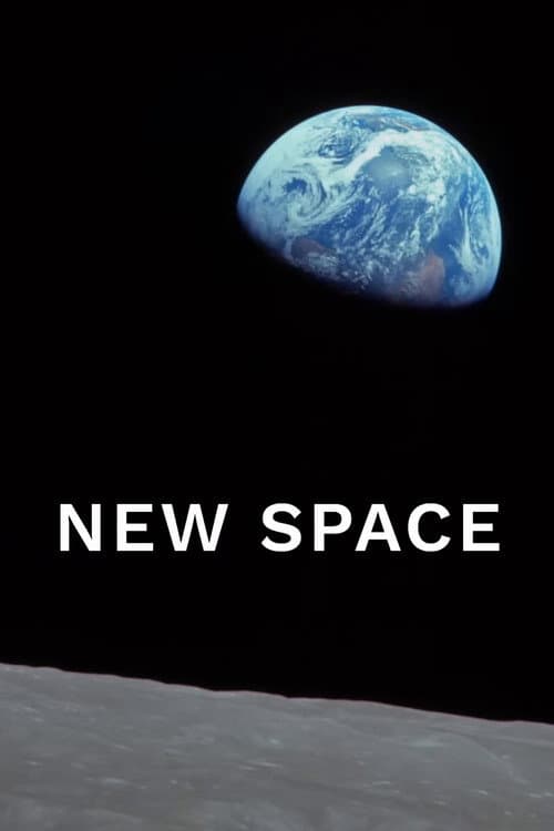 New Space (2025) poster