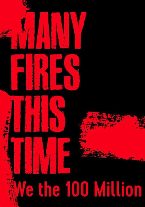 Many Fires This Time: We the 100 Million (2021) poster