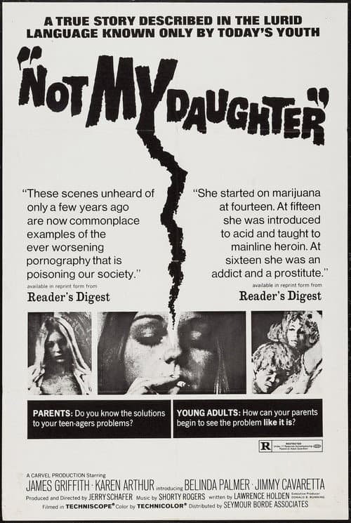 Like It Is (1970) poster
