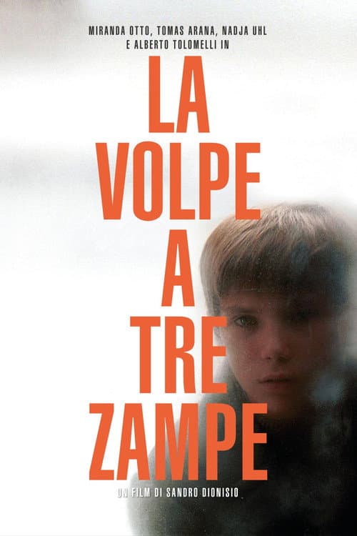 La volpe a tre zampe (2004) poster