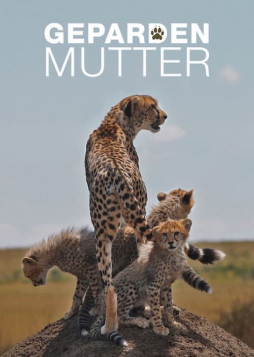Gepardenmutter (2013) poster
