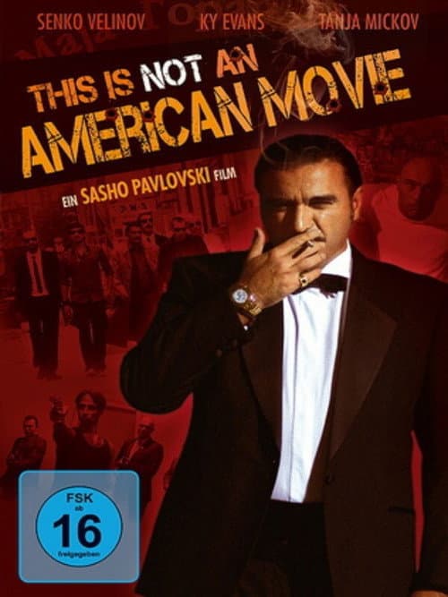 Ова не е американски филм (2011) poster