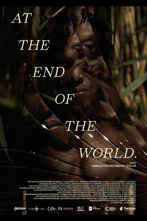 En el fin del mundo (2025) poster