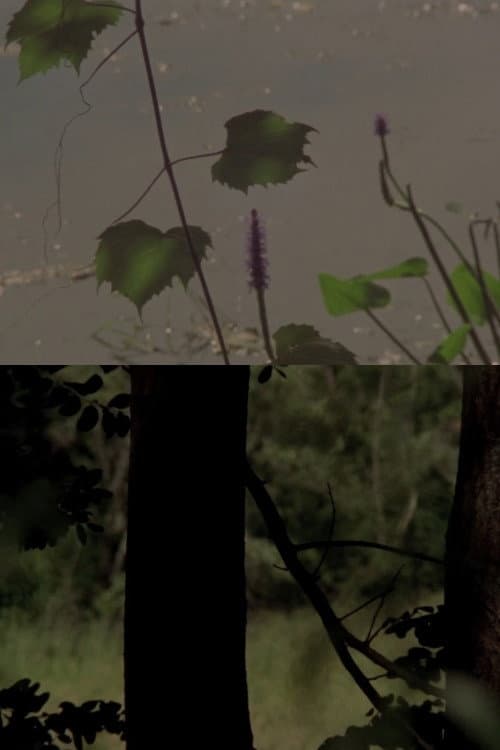 Under a Tree (2017) poster
