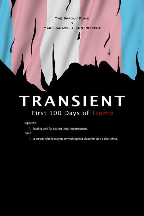 Transient (2018) poster