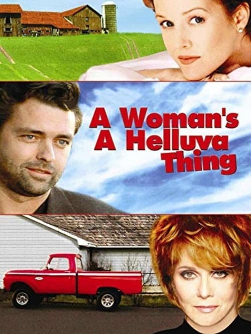 A Woman's a Helluva Thing (2001) poster
