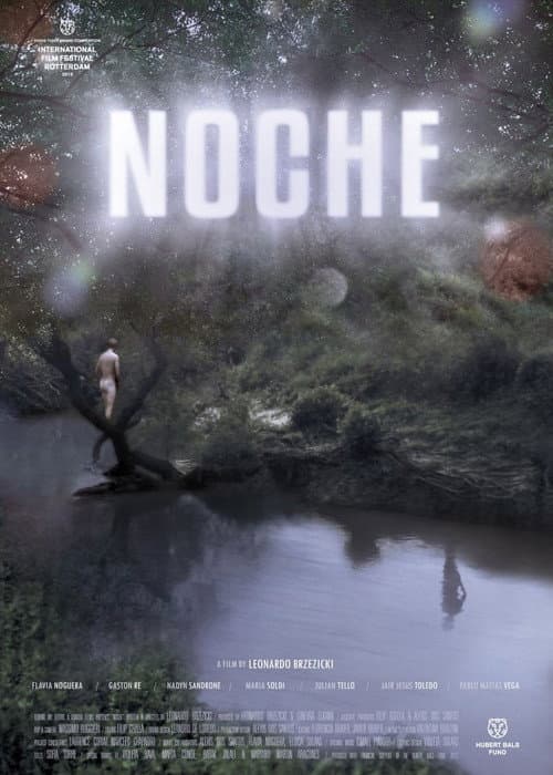 Noche (2013) poster