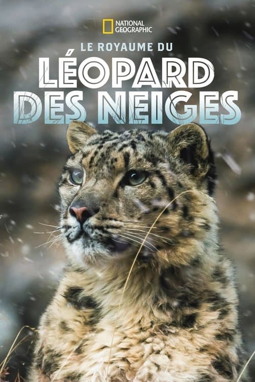 Le Royaume du léopard des neiges (2020) poster