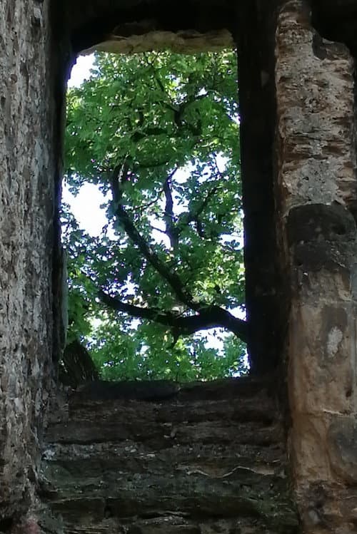 Les ruines du château de Seyssuel (2025) poster
