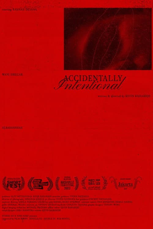 Accidentally Intentional (2023) poster