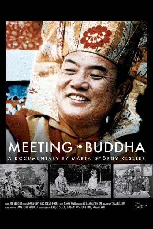 Meeting the Buddha (2026) poster