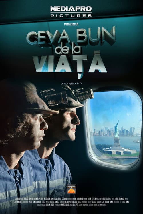 Ceva Bun De La Viață (2011) poster