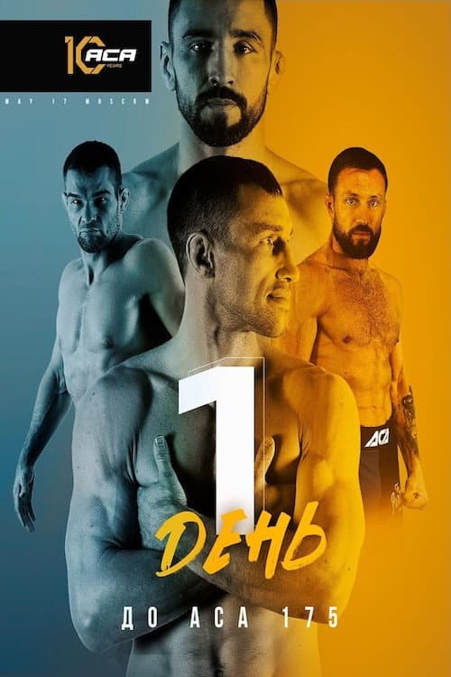 ACA 175: Gordeev vs. Damkovsky (2024) poster