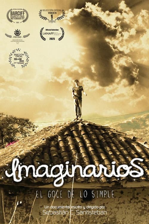2013: Imaginarios, el goce de lo simple (2024) poster