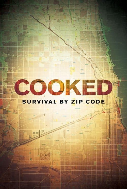 Cooked: Survival by Zip Code (2019) poster