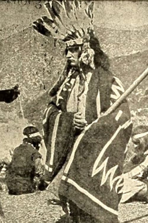 The Indian Brothers (1911) poster