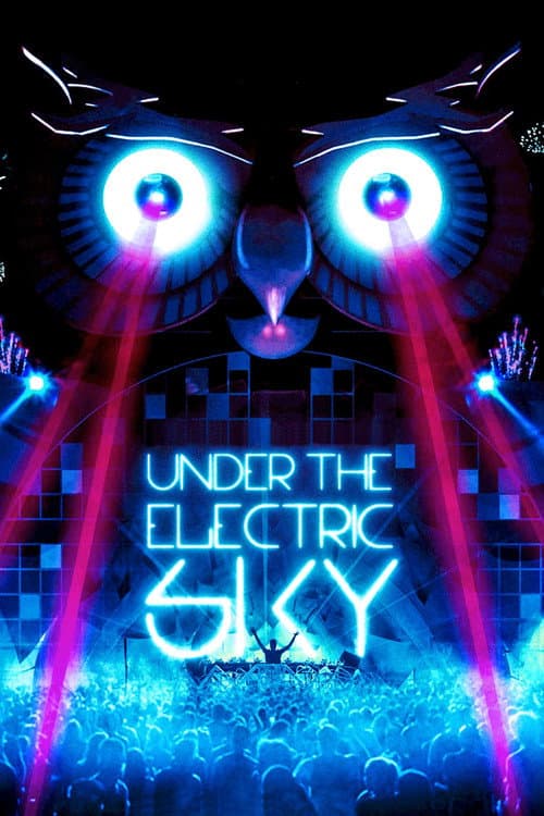 Under the Electric Sky (2014) poster