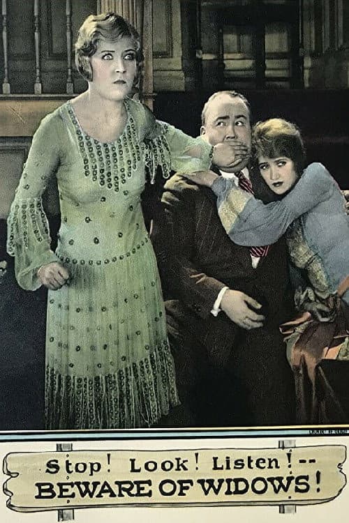 Beware of Widows (1927) poster