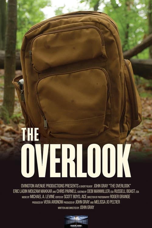 The Overlook (2023) poster