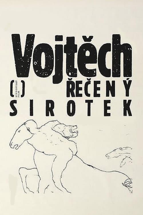 Vojtěch, řečený sirotek (1990) poster