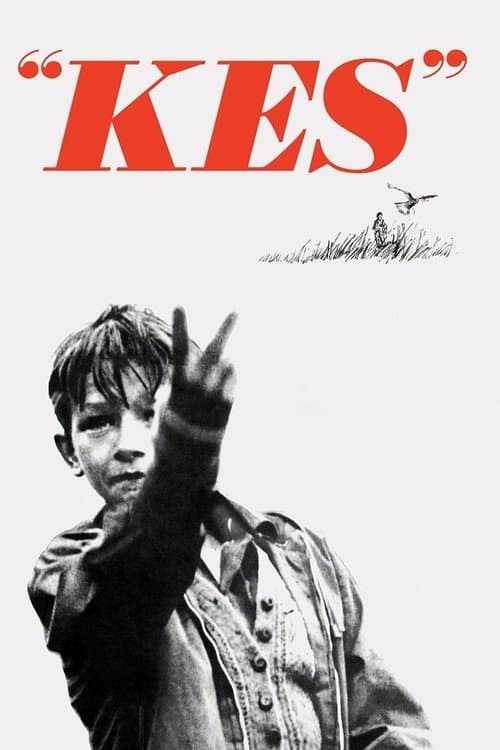 Kes (1970) poster