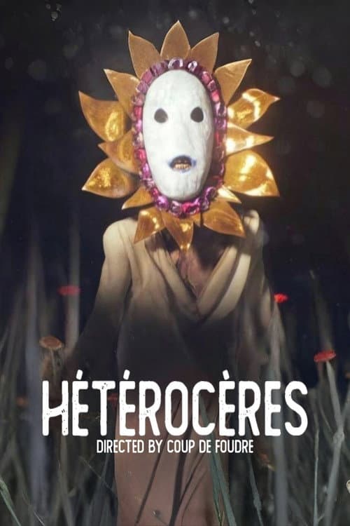 HÉTÉROCÈRES (2026) poster