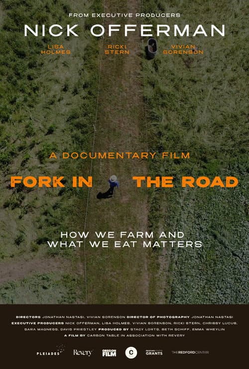 Fork in the Road (2026) poster
