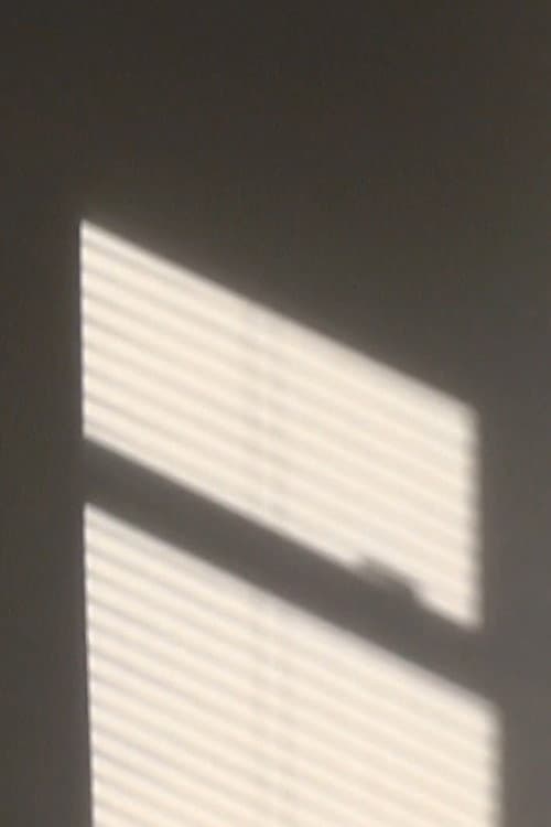 Light on a wall 2 (2021) poster