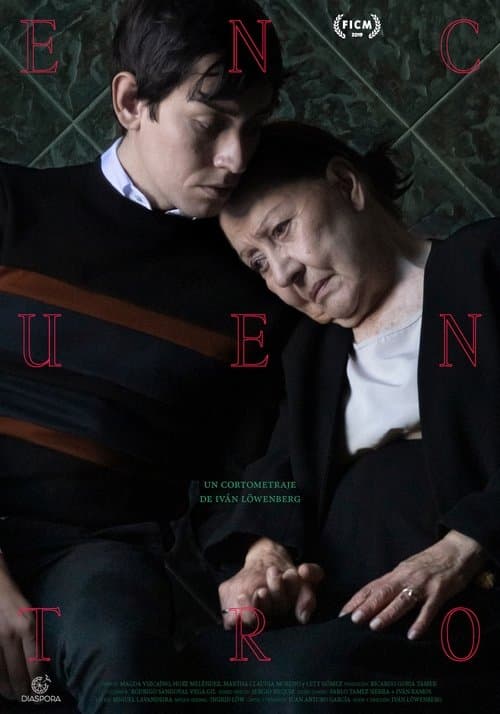 Encuentro (2019) poster