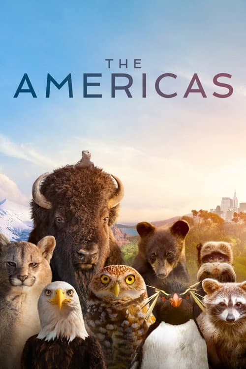 Amerika (2025) poster