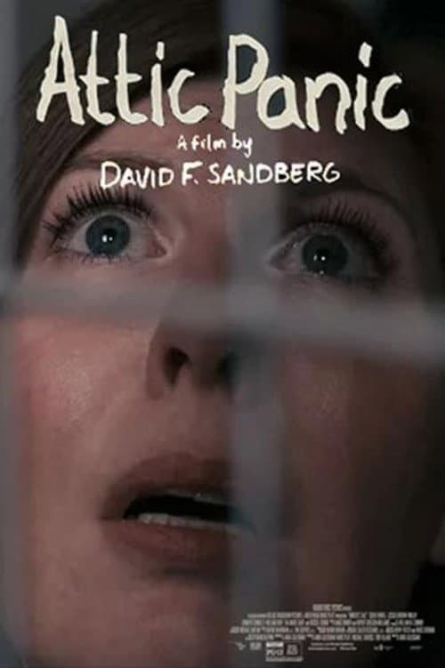 Attic Panic (2015) poster