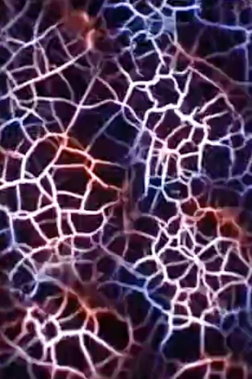 Compound Eye (2004) poster