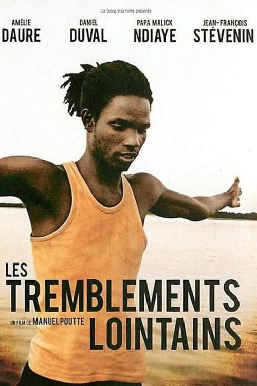 Les tremblements lointains (2009) poster